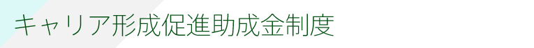 キャリア形成促進助成金制度